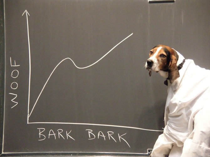 Scientist Dog Presentation - Woof Bark-Bark
